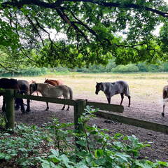 24-06-24 12-03-14 9829